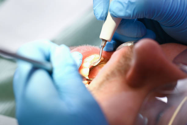 Best Emergency Orthodontic Repairs in Kingston, PA